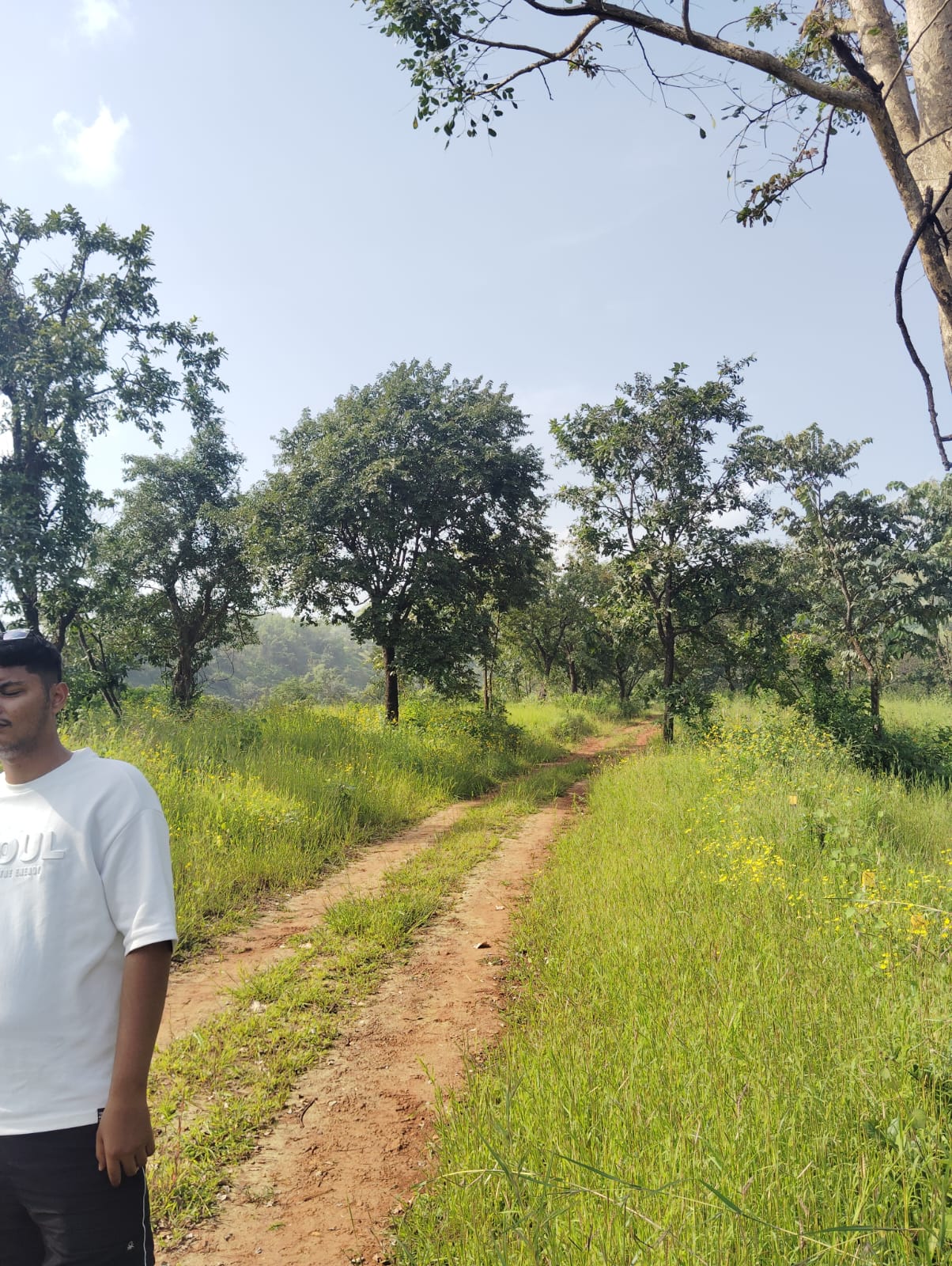 Serenity Hills Plots for sale Kanand, Rajgad (Velhe) ,